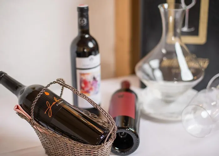 瑟尔沃萨健康酒店 酒店